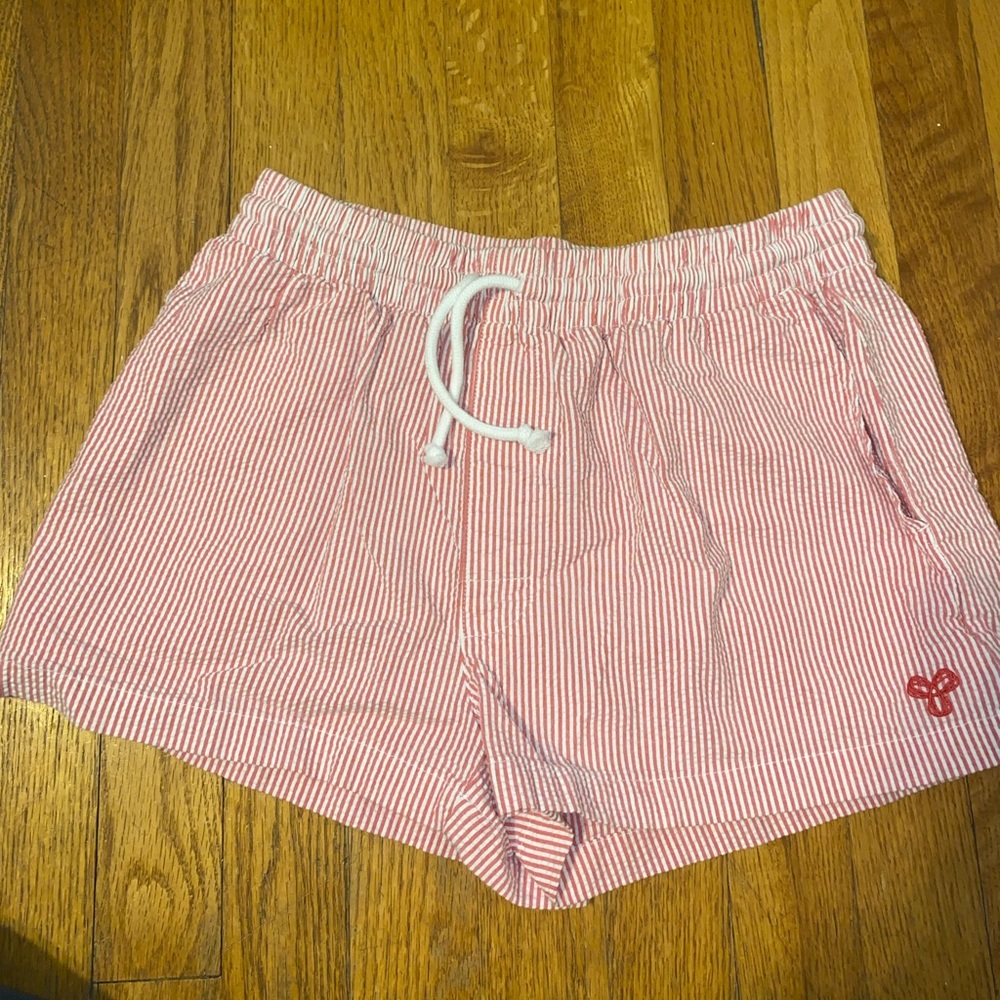 Aritzia Shorts